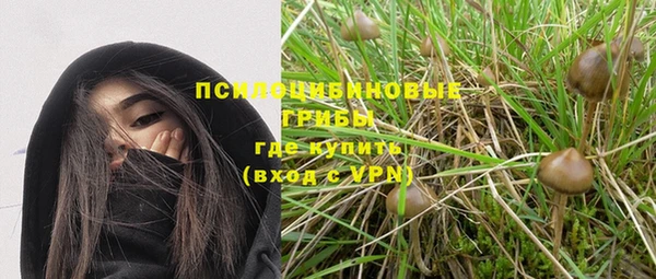 apvp Баксан