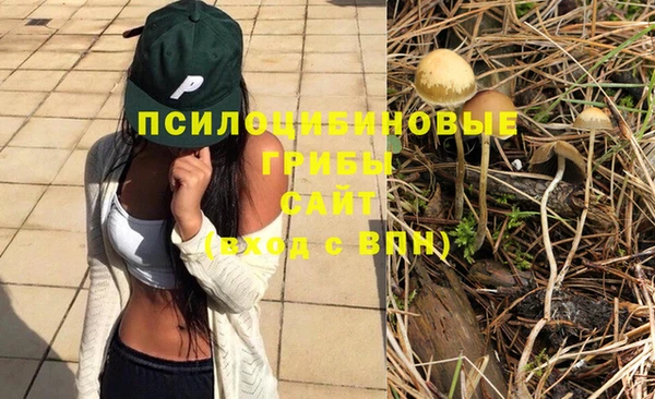 прущая мука Аркадак