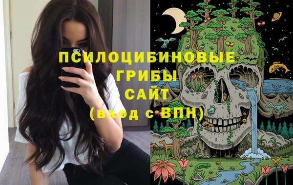не бодяженный Армянск
