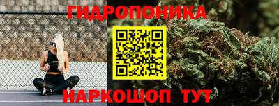 гашик Обнинск