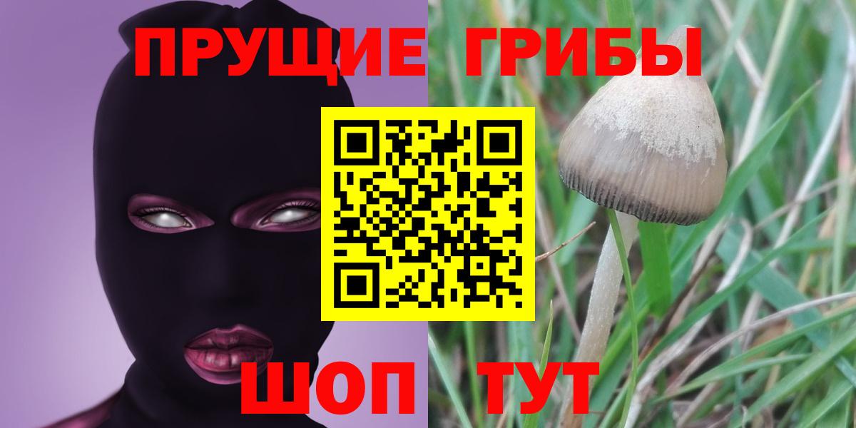 Псилоцибиновые грибы Magic Shrooms Урюпинск
