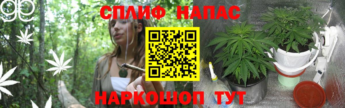 Бошки марихуана SATIVA & INDICA  Конопля тримм  Бошки марихуана LSD WEED  Вход с VPN  Урюпинск  Конопля конопля 